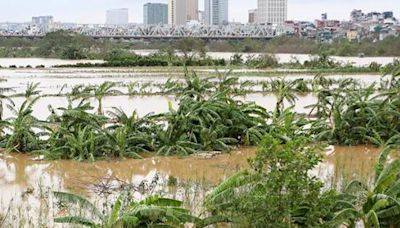 Sequía tiñe de verde río importante en Sao Paulo