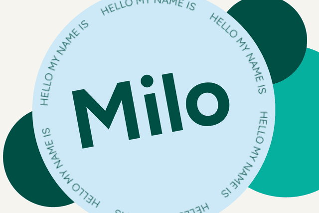 Milo Name Meaning