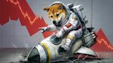 Solana's Dogwifhat Pumps as Bonk, Dogecoin and Other Meme Coins Lose Ground - Decrypt