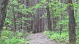 Hiking On Maine’s Trails