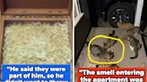 People Are Sharing The Most Bizarre And Questionable Things They Found In Other People's Homes, And It All Feels Like...