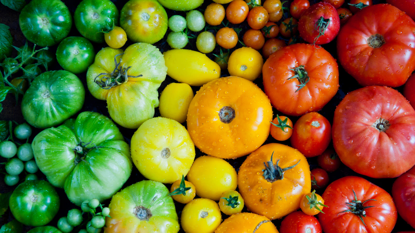 5 Types Of Tomatoes To Buy And 3 To Avoid For Maximum Flavor