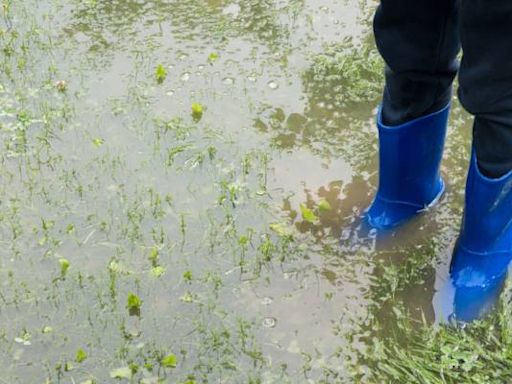 My neighbor’s sump pump drains onto my property — now my yard is a swampy mess. Do I have legal recourse?