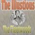 Best of the Fleetwoods