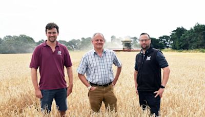 Big-scale Suffolk estate veg growers power through frustrating stop-start harvest