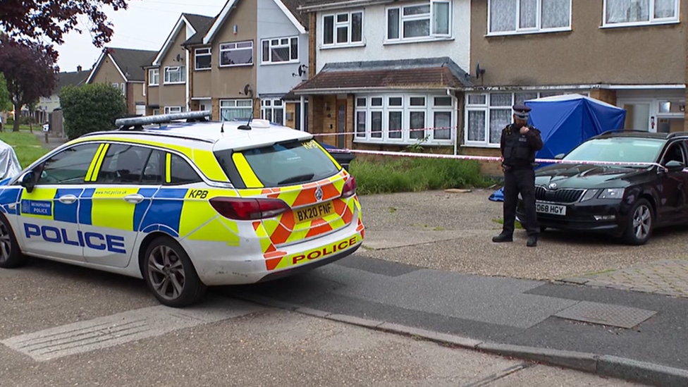 Hornchurch: Woman dies in XL bully attack at home