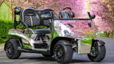 These hyper-luxury golf carts can be driven on the road
