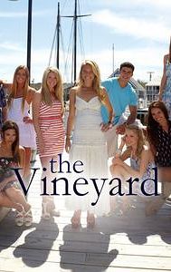 The Vineyard