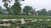 Heavy rain damages roads in Sikkim, North Bengal triggering floods and landslides