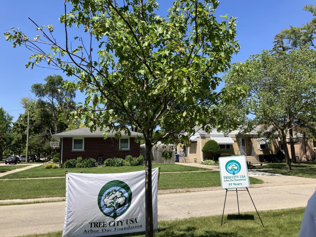 A longtime La Grange Park resident remembered with Arbor Day planting of tree