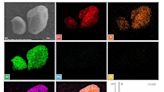 Researchers identify the principle behind 'soft mechanoluminescent complex'