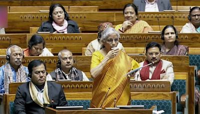 Budget: The election outcome and voter concerns can offer Sitharaman some clues