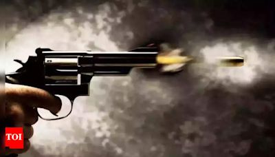 Sarpanch shoots woman dead following drunken brawl in Madhya Pradesh's Datia, booked | Bhopal News - Times of India