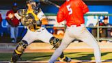 RiverDogs catcher has the arm, working on the bat