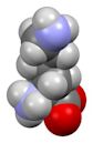 Lysine