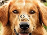 A Dog's Purpose (film)