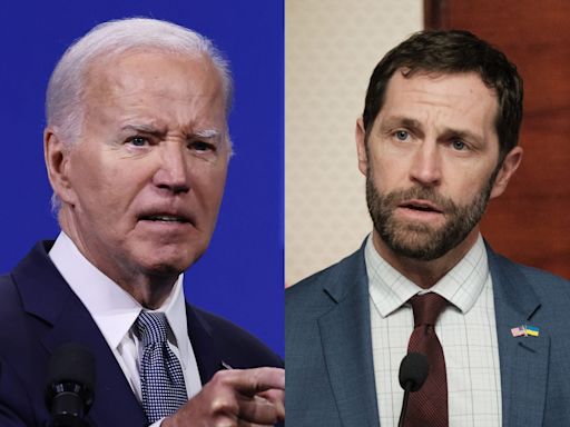 Biden took a swipe at skeptical House Democrat's military service during tense Zoom call, report says