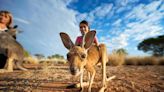 The World's Only Baby Kangaroo Sanctuary Is in This Small Australia Town — and Visitors Can Feed and Cuddle the Adorable Animals