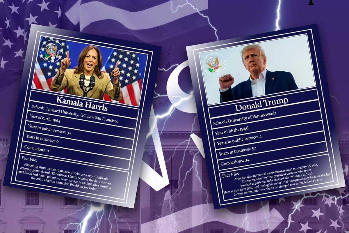 Trump vs. Harris: How their resumes compare in the race to become the next president