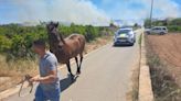 Un incendio en Riba-roja obliga a desalojar un picadero de caballos