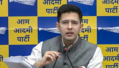 AAP’s Raghav Chadha seeks investigation into cyberattacks against politicians, scribes