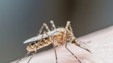 Human case of West Nile virus confirmed in Arapahoe County, 1st in Colorado in 2024