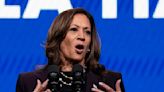 Democrats in key swing state have concerns about Kamala Harris