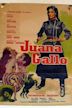 The Guns of Juana Gallo
