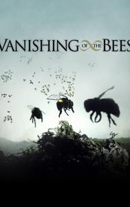 Vanishing of the Bees