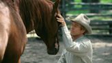 The Horse Whisperer author Nicholas Evans dies aged 72