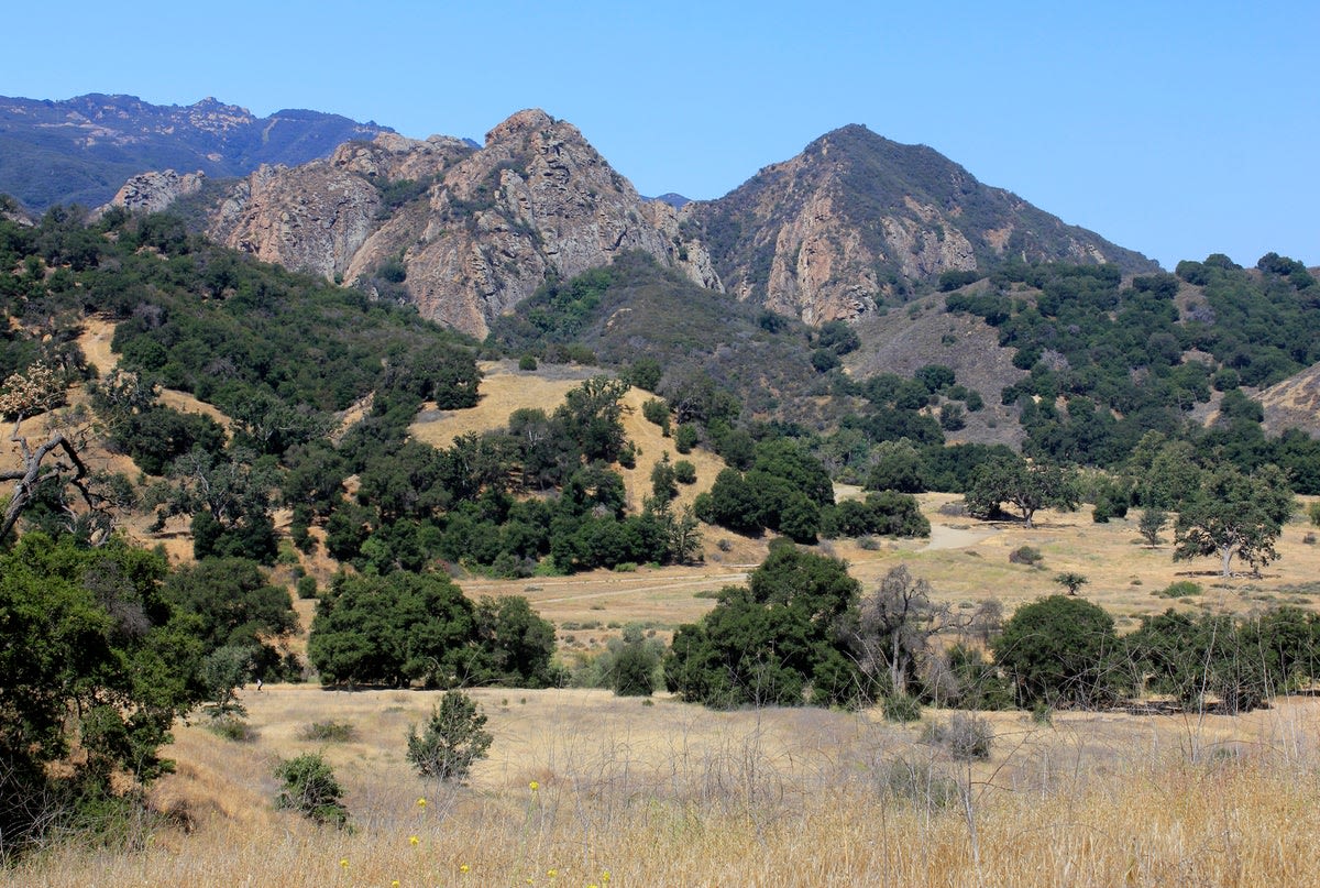 Boy, 5, rescued from mountain lion’s jaws after terrifying attack in park near Malibu