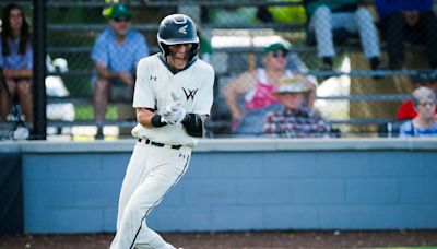 Willard, Glendale punched tickets to state baseball quarterfinals. Here's how.