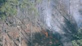 Crews respond to large wildfire near Stone Mountain Park