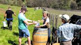 7 hot Oregon and Washington wine tips for backyard fun and local getaways