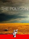 The Polygon