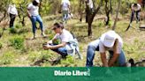 Voluntariado BHD realizó jornada de siembra de canelilla en Azua