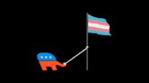 Democrats Need to Fight Harder as the GOP Tries to Eradicate Trans People