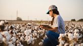 Cotton farmers need investment, incentives to boost transparency