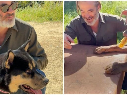 Chris Pine Goes On A Double Dodo Dream Date With His Two Incredible Foster Dogs