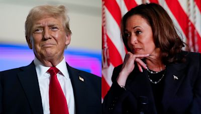 Trump Backs Out of Harris Debate on ABC News, Agrees to One on Fox News