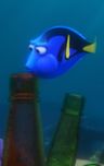 Dory Finding