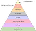 Maslow's hierarchy of needs