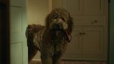 Why Lessons In Chemistry's Most Emotional Episode Yet Was Narrated By The Dog, According To The Showrunner