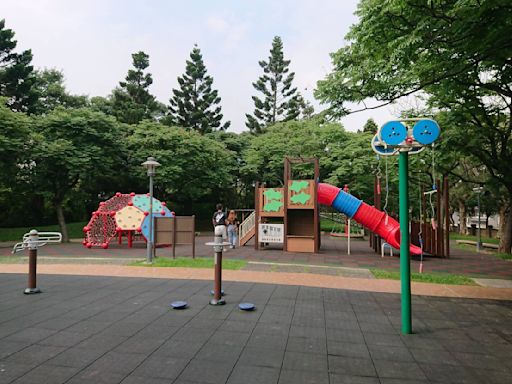 桃園闢建9旗艦公園 遭疑「生了無法養」