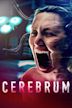 Cerebrum