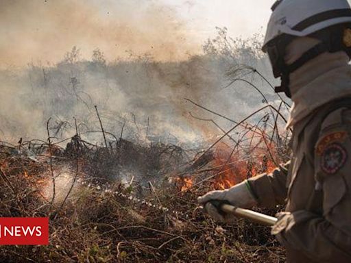 Amazônia e Pantanal têm piores queimadas das últimas duas décadas, alerta agência europeia