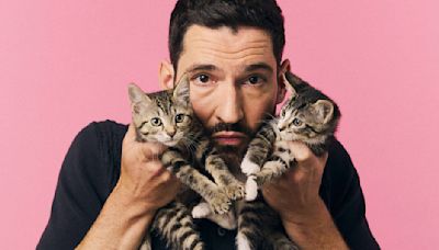 Tom Ellis Just Talked About "Lucifer," His New Animated Series, And More While Playing With Kittens