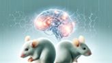 Challenging Our Views of Cognition – New Johns Hopkins Test Reveals That Mice Think Like Babies