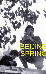 Beijing Spring