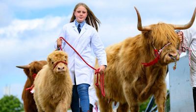 Highland Show kicks off with full programme despite £3m losses